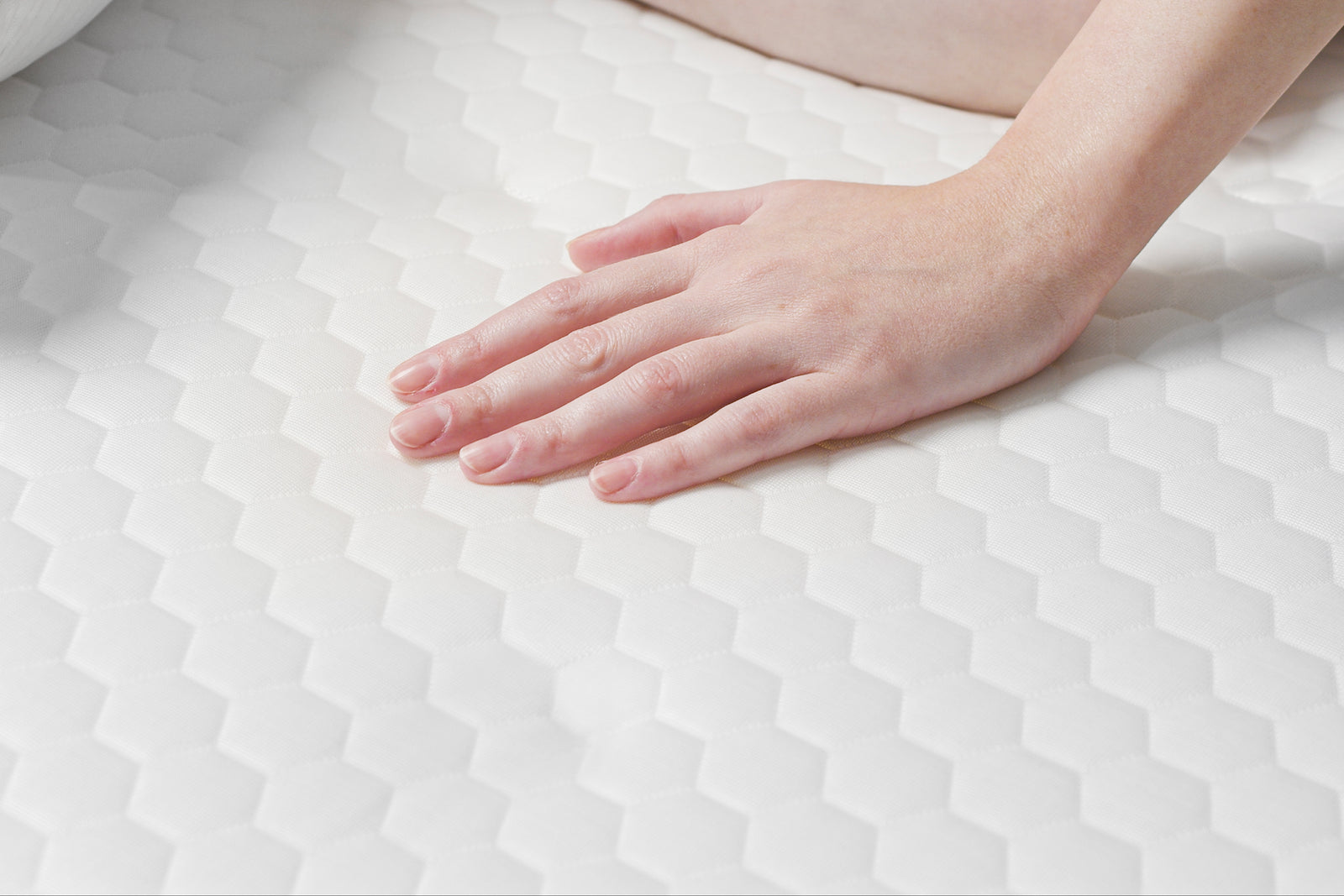 Mattress Protector
